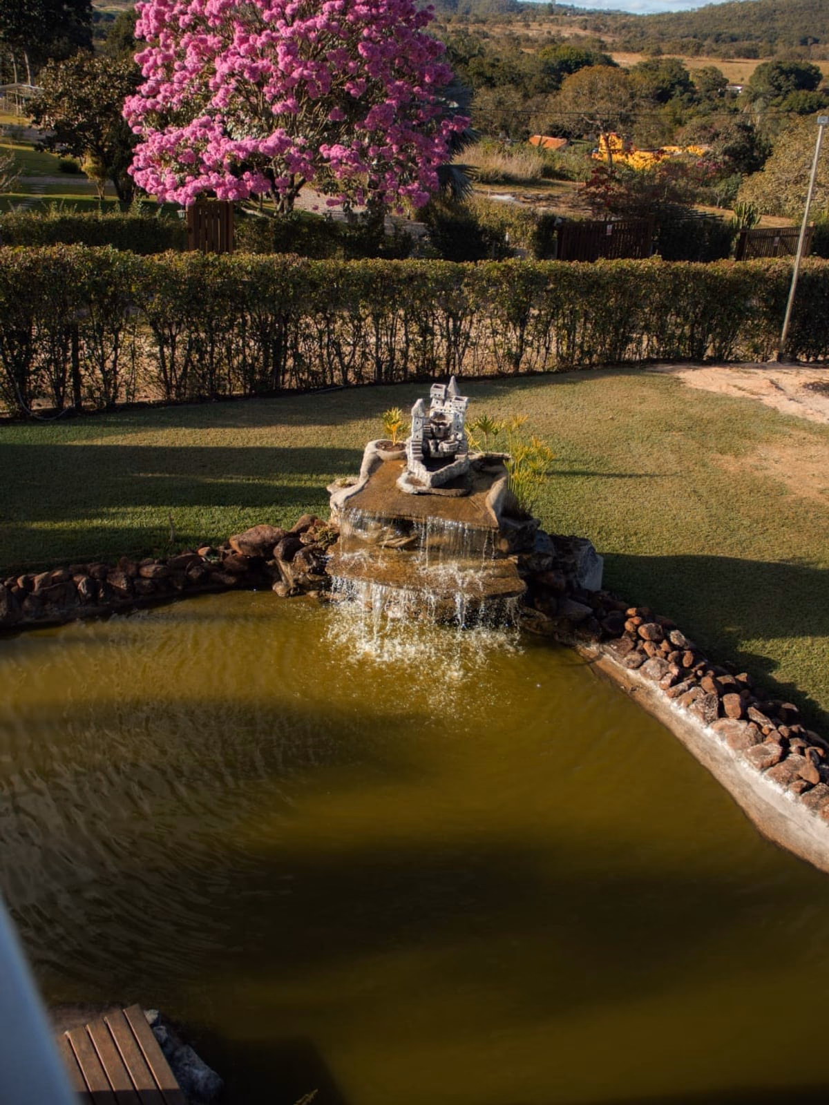 Jardim com fonte e cascata, ipê rosa florido ao fundo