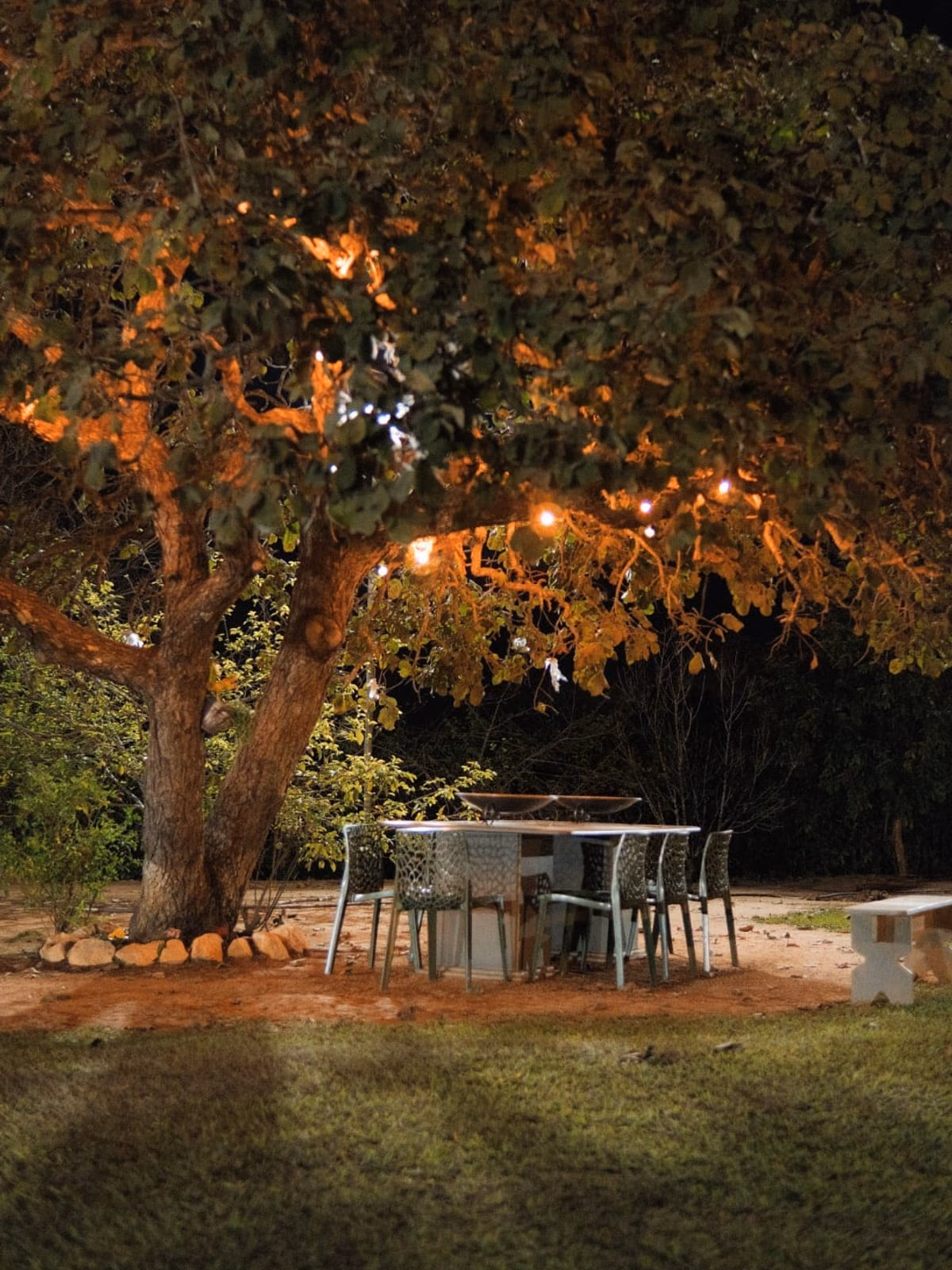 Mesa externa sob árvore iluminada por luzes de festão, à noite