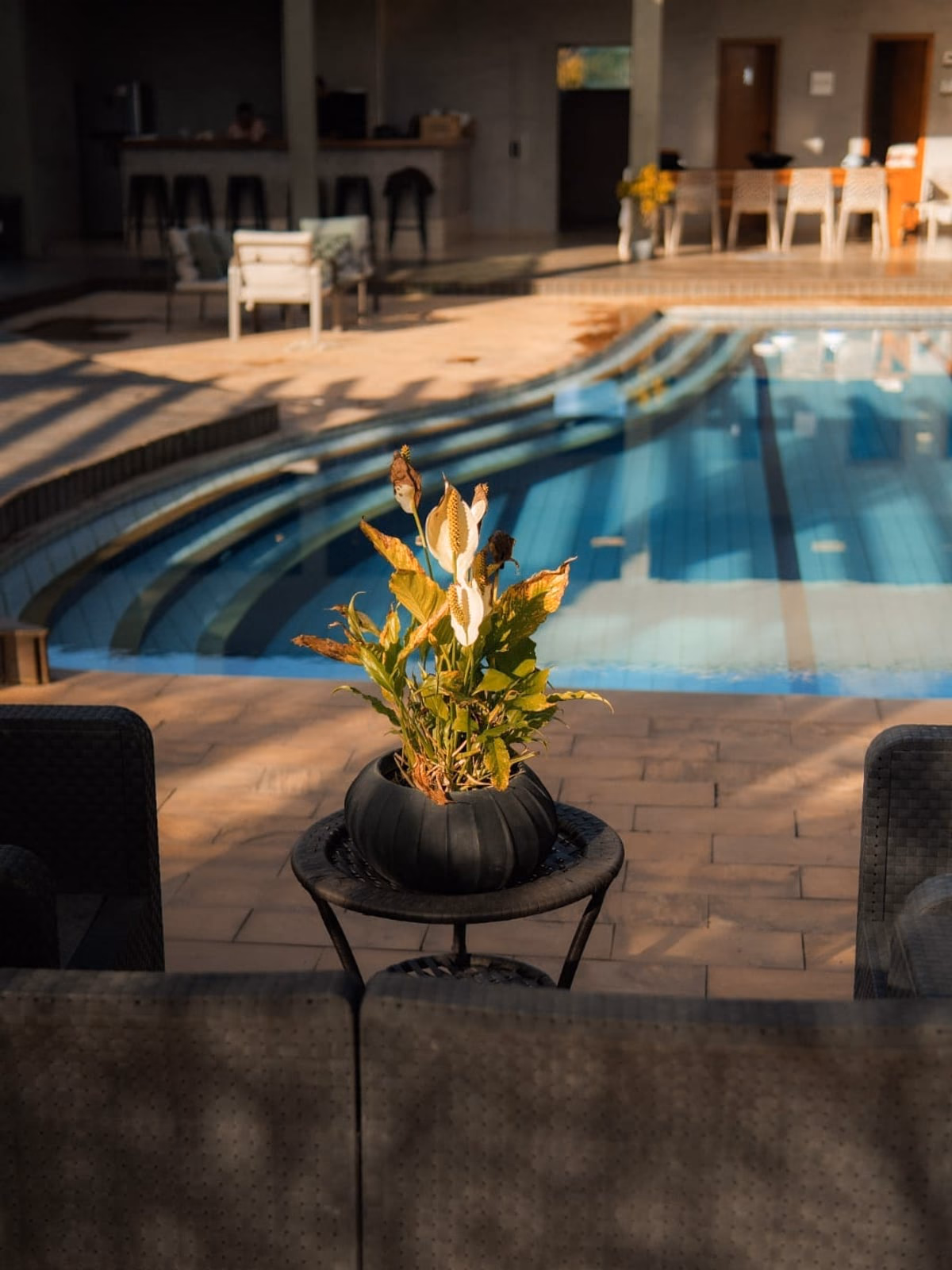 Borda da piscina com vaso de planta em primeiro plano