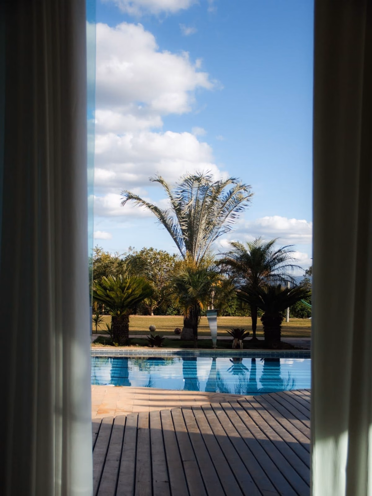 Piscina vista através das portas de vidro, palmeira ao fundo